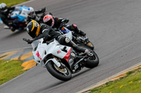 PJ-Motorsport-2019;anglesey-no-limits-trackday;anglesey-photographs;anglesey-trackday-photographs;enduro-digital-images;event-digital-images;eventdigitalimages;no-limits-trackdays;peter-wileman-photography;racing-digital-images;trac-mon;trackday-digital-images;trackday-photos;ty-croes